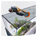 Aquarium Anti-Jump Net Cover (55.1" x 23.6") B5204