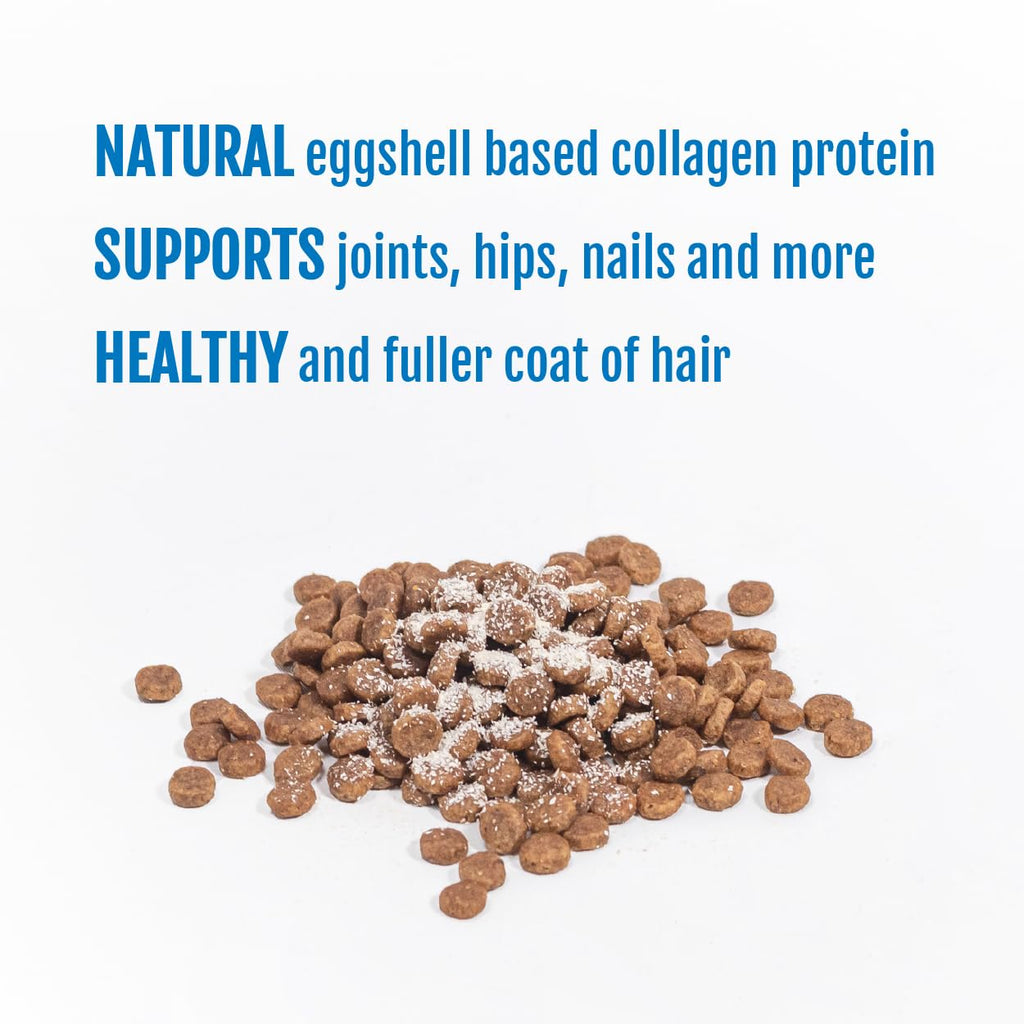 Eggshell Membrane Collagen Powder for Dogs P65964