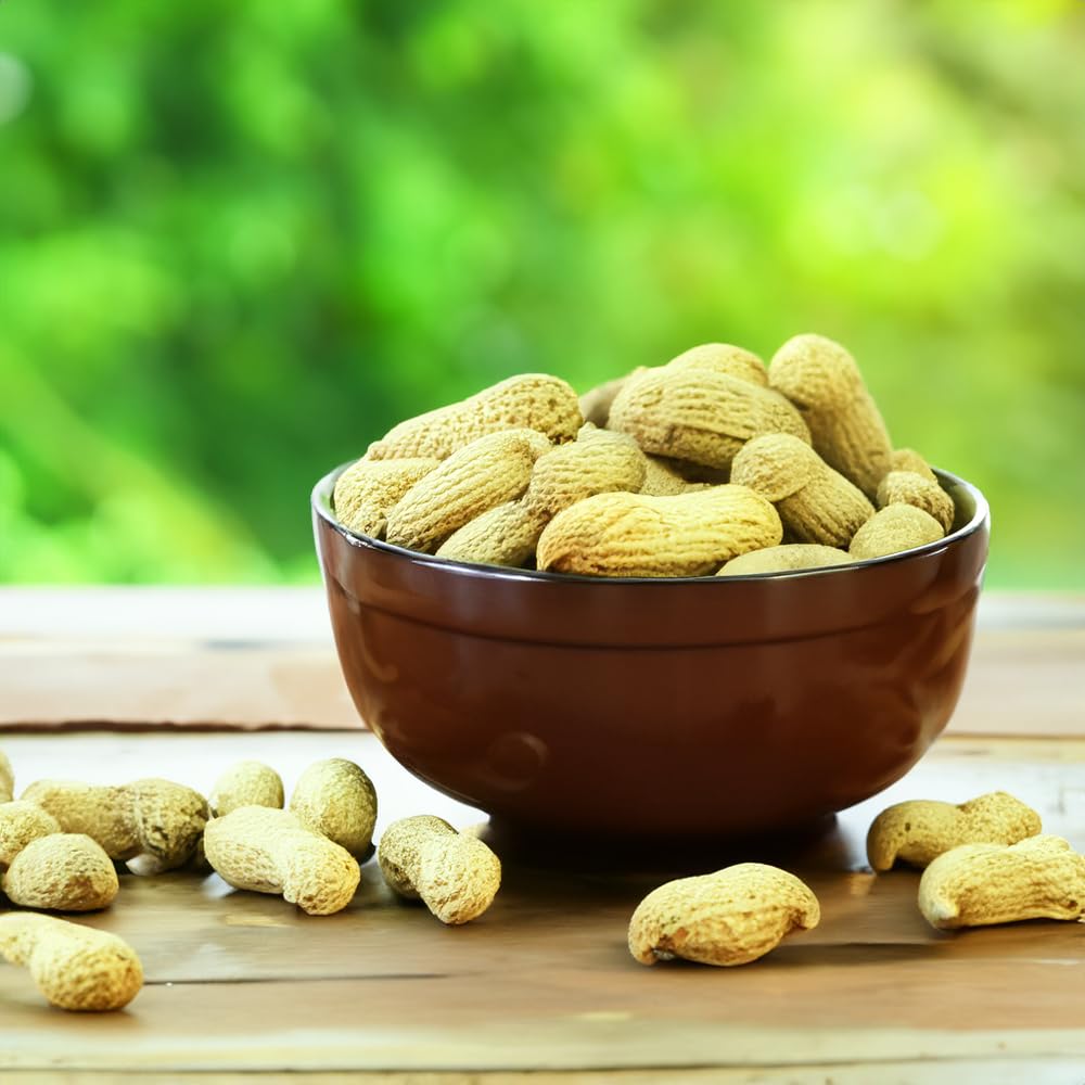 Peanuts In Shell 2 lbs L257966