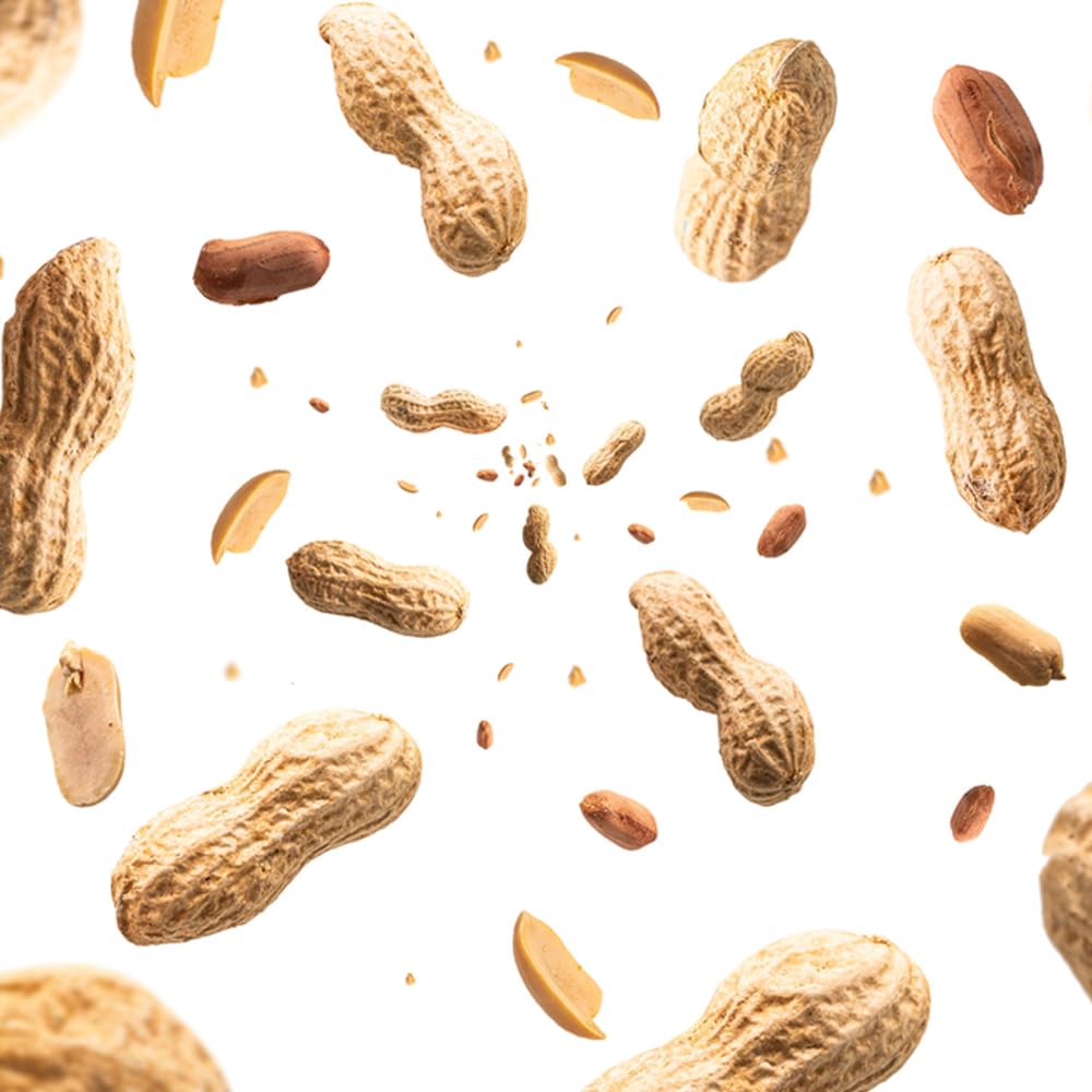 Peanuts In Shell 2 lbs L257966