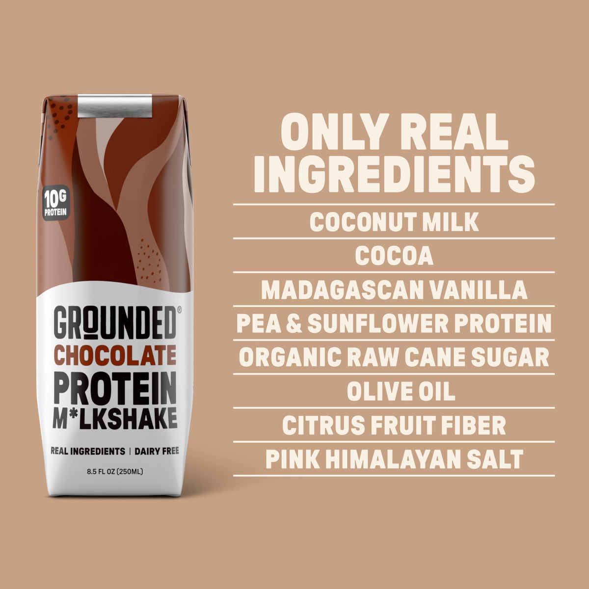 Chocolate Milk, Dairy Free, 10g Protein, 8.5 fl oz, 12 Pack J810387
