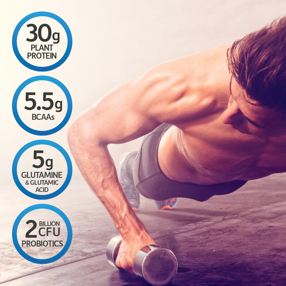 Organic Vegan Protein Powder Vanilla T668