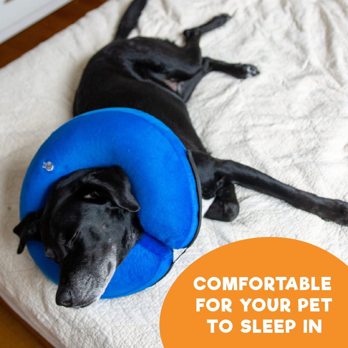 Inflatable Dog Cone Collar Alternative Large Blue N427