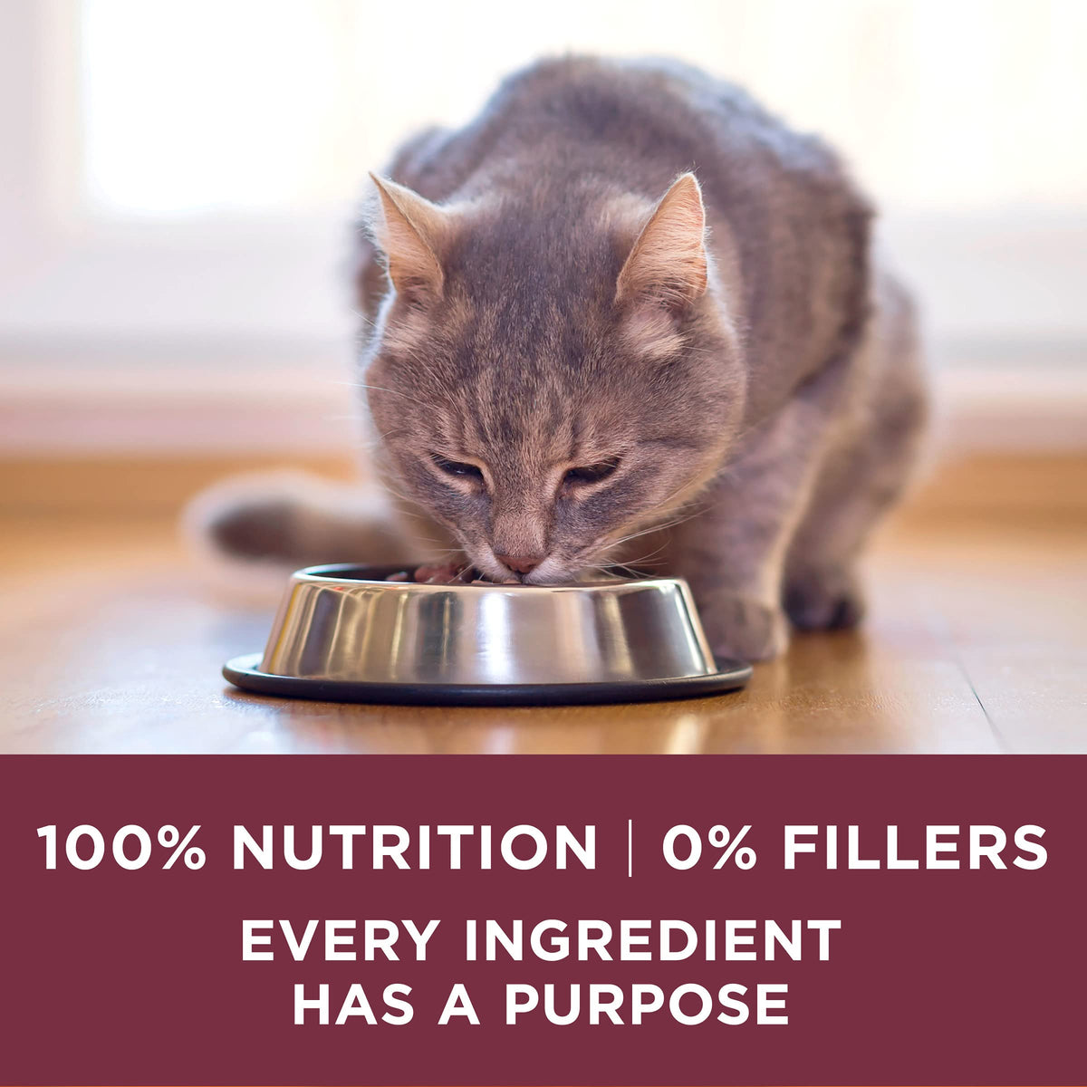 High Protein Urinary Tract Health Dry Cat Food 16 lb Bag H36466