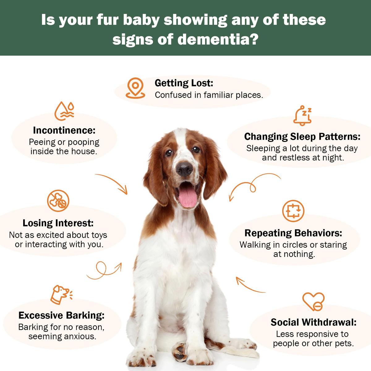 Dog Supplements O806