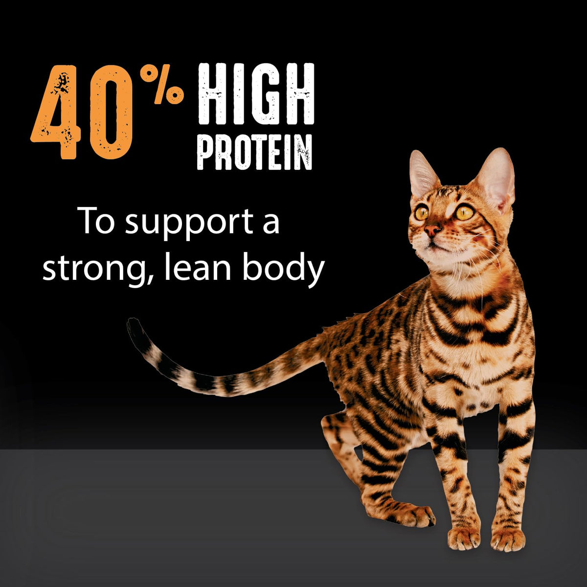 Grain Free High Protein Natural Dry Cat Food, Chicken, 2 lb K9557