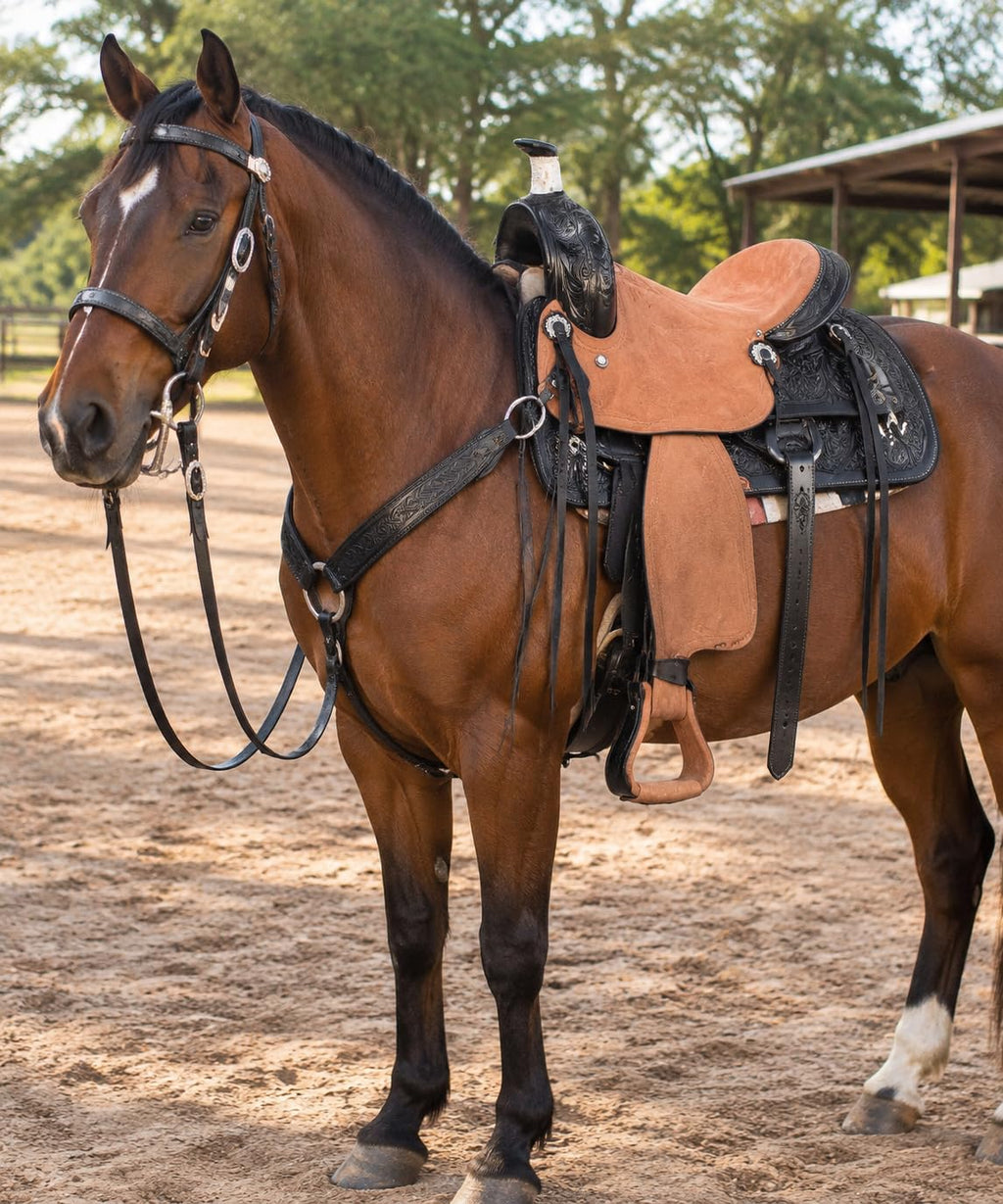 Argentina Cow Leather Saddle Set with Headstall, Reins & Breastplate C150133