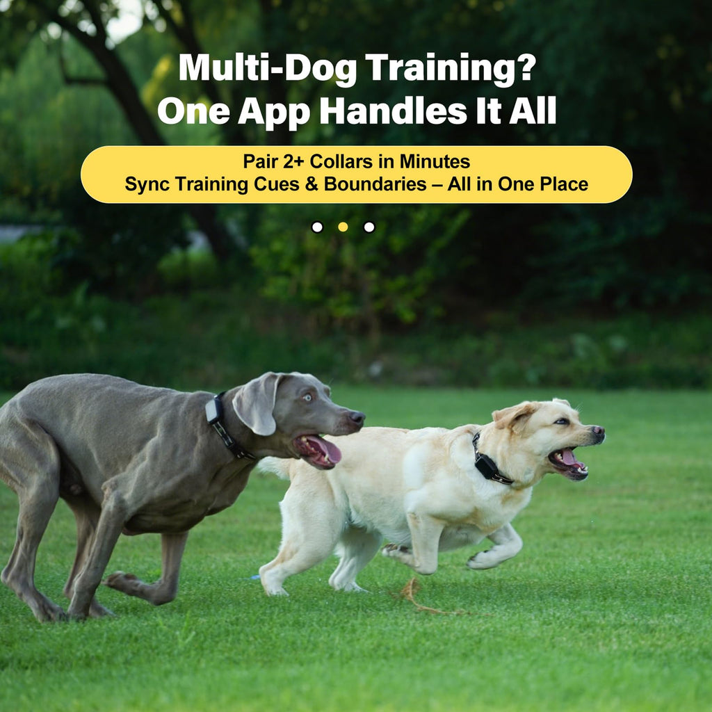 Wireless Dog Collar Fence System with Remote Training U467