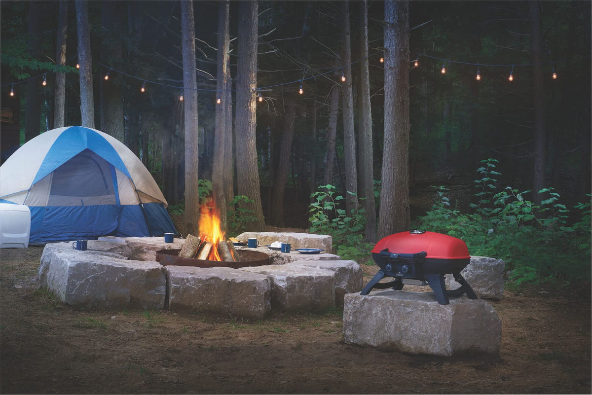 Portable Propane Grill with Griddle Insert Z4458