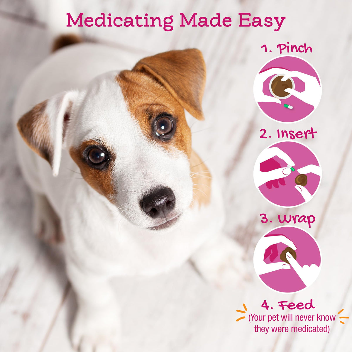 Cheese & Bacon Pill Paste for Dogs 4.2oz L666