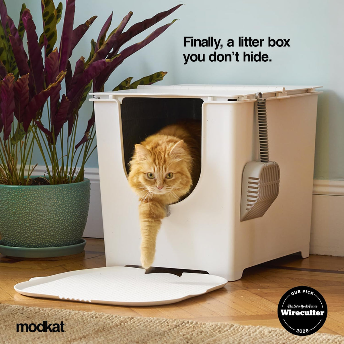 Covered Litter Box M20146