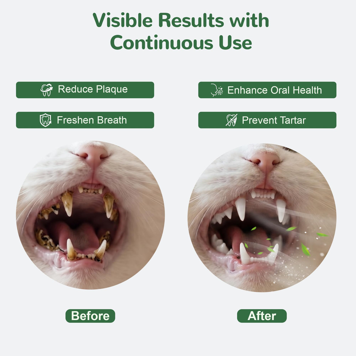Cat Dental Care Powder with Probiotics 80g O76682