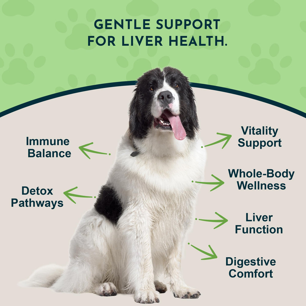 Liquid Liver Support Supplement for Dogs & Cats 2 Fl Oz P500