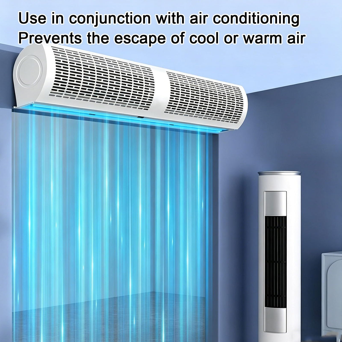Wall Mounted Air Curtains Dual Speed Control 220V P2616