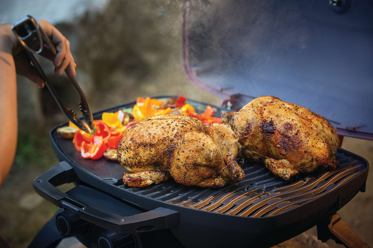 Portable Propane Grill with Griddle Insert Z4458