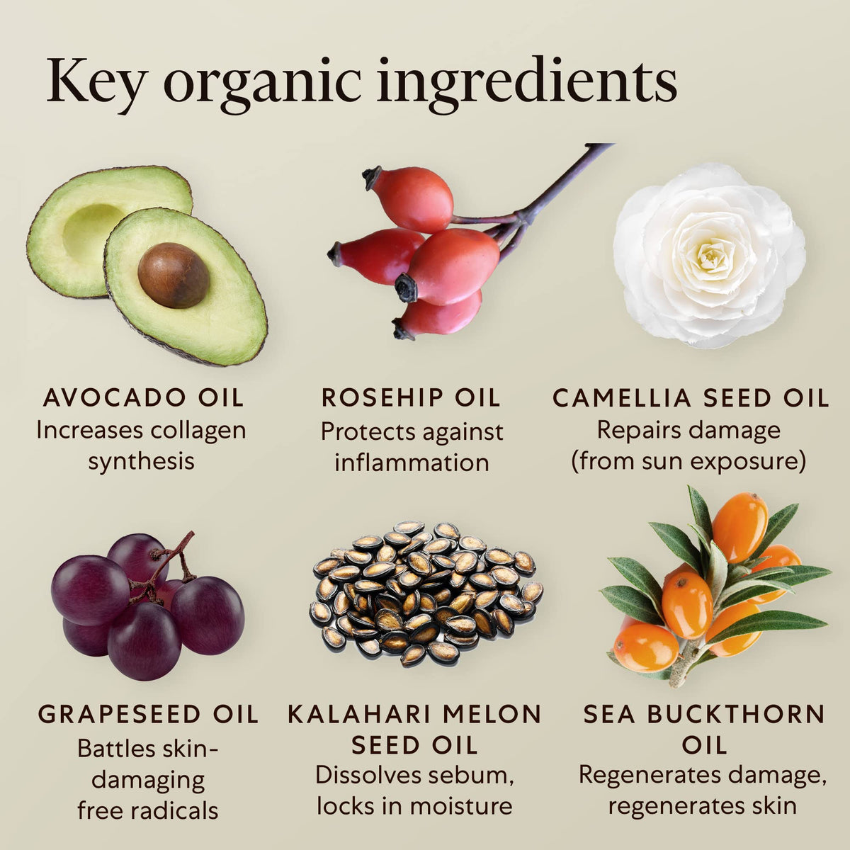 Organic Face Oil with Rosehip Sea Buckthorn Avocado Vitamin E G428728