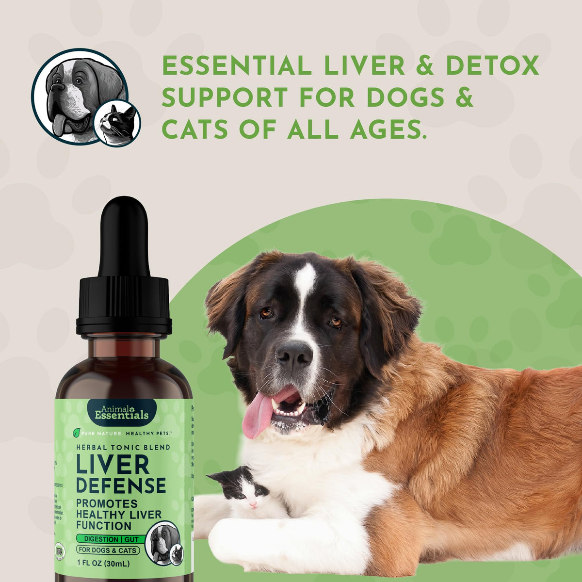 Liquid Liver Support Supplement for Dogs & Cats 2 Fl Oz P500