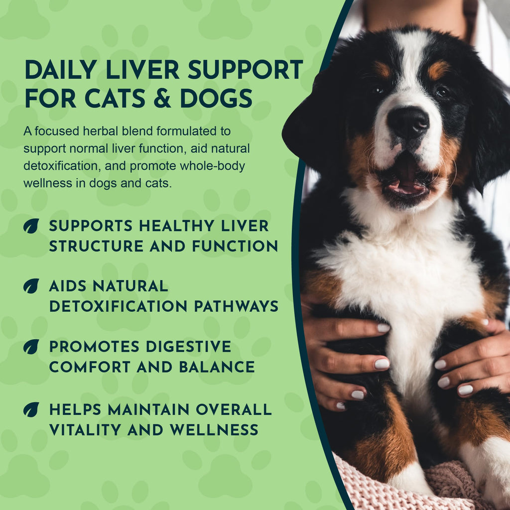 Liquid Liver Support Supplement for Dogs & Cats 2 Fl Oz P500