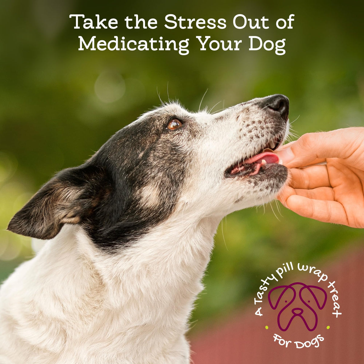 Cheese & Bacon Pill Paste for Dogs 4.2oz L666
