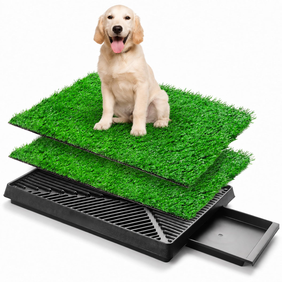 Dog Potty Grass Pads, 2 Pack, 25 x 20 in Turf B8883
