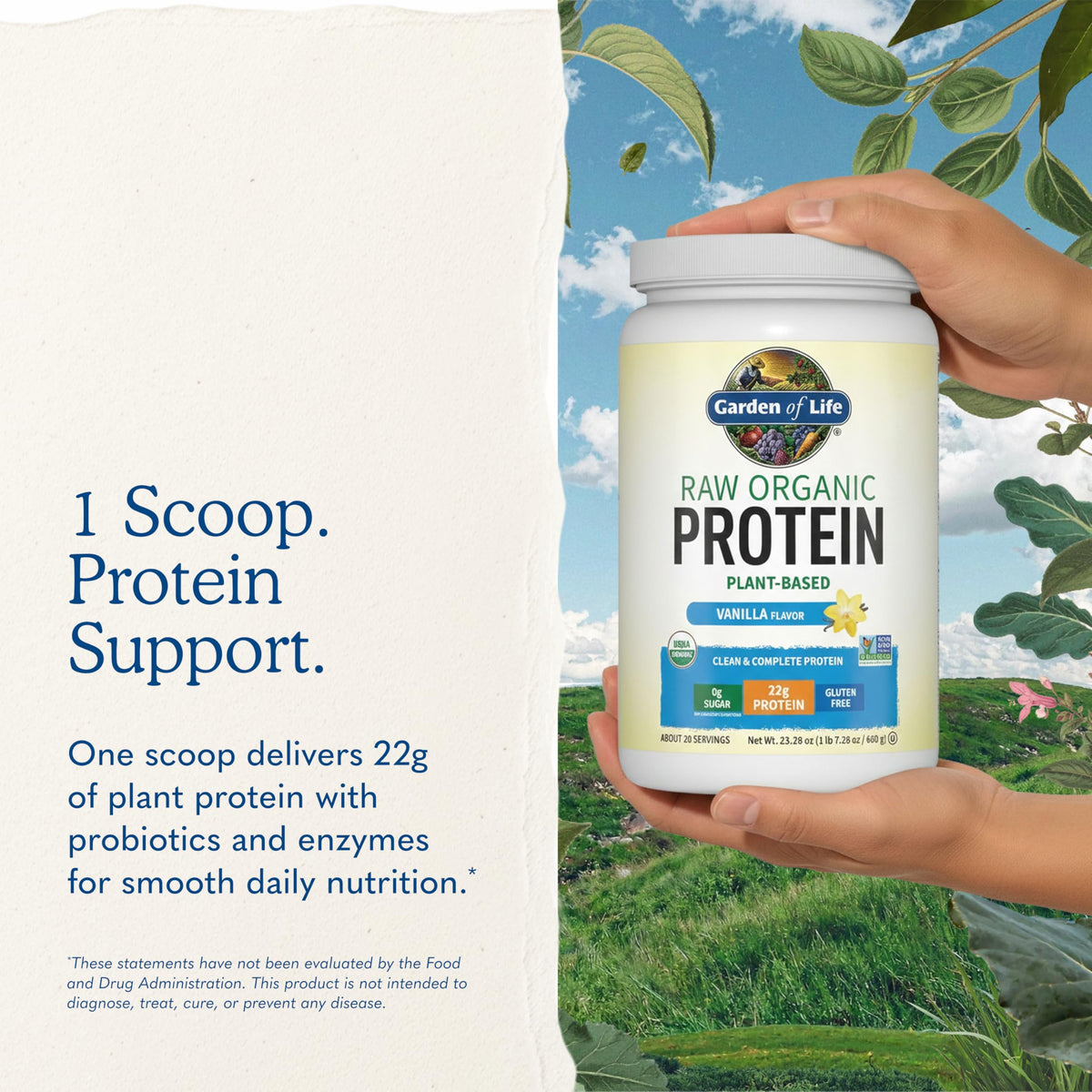 Organic Vegan Vanilla Protein Powder J411959
