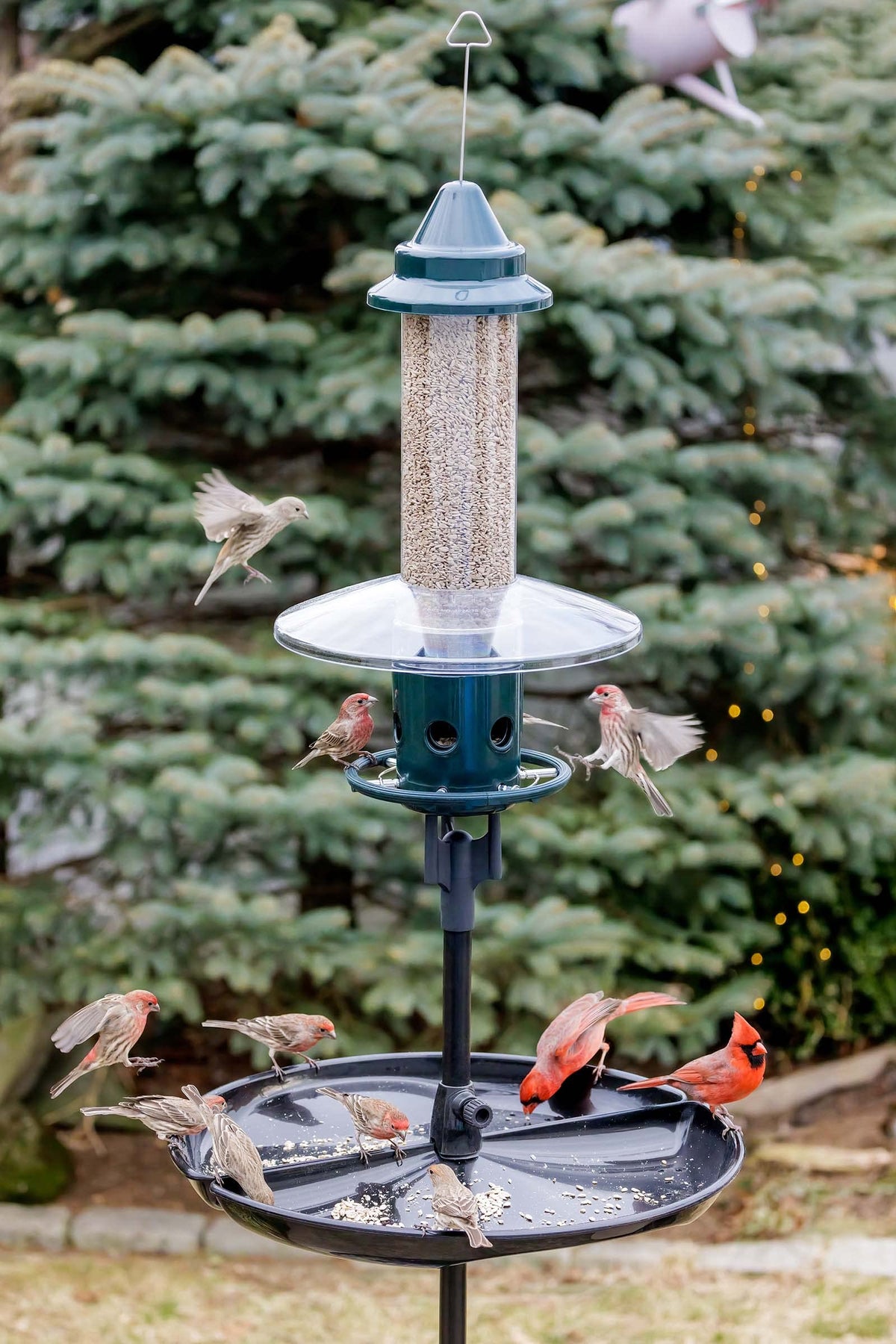 Green Squirrel-Proof Bird Feeder and 20-Pound Bag Wild Bird Food O1189