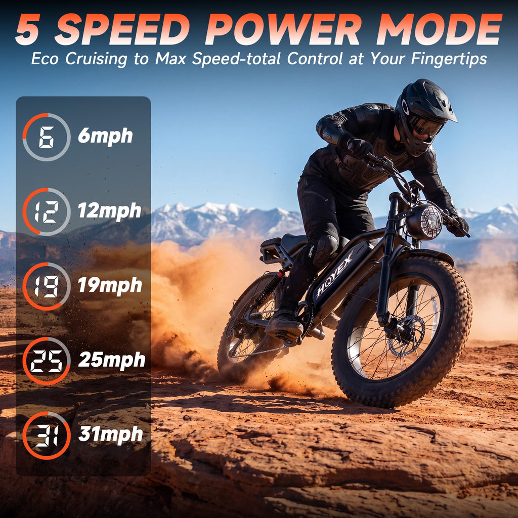 16/20" Fat Tire Electric Bike 1500W Peak Motor Removable Battery N2668