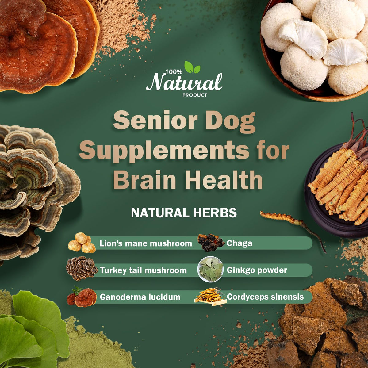 Dog Supplements O806