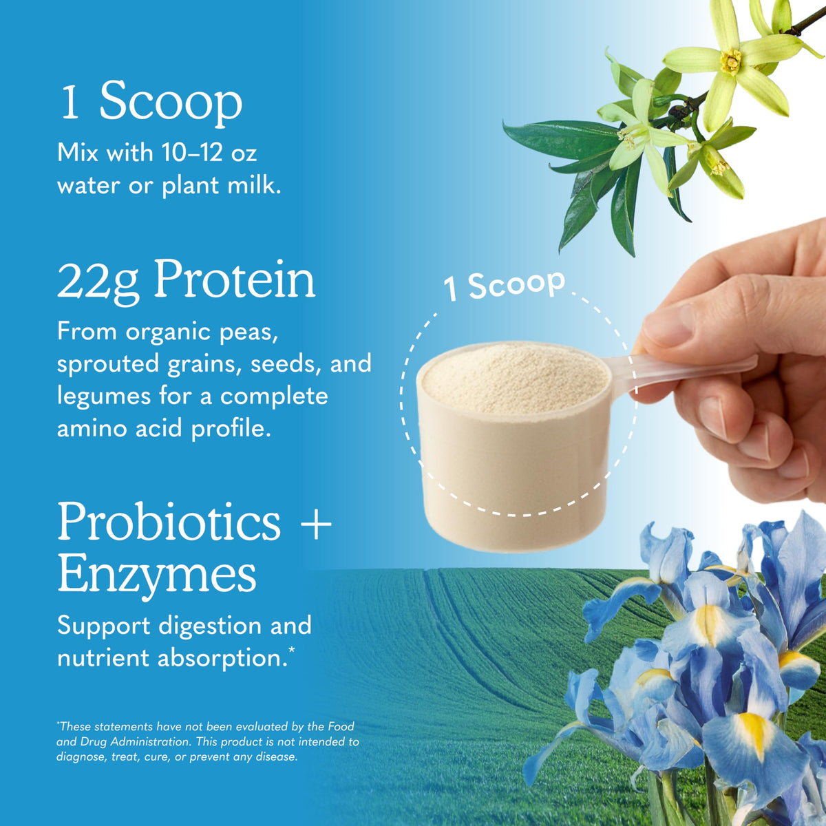 Organic Vegan Vanilla Protein Powder J411959
