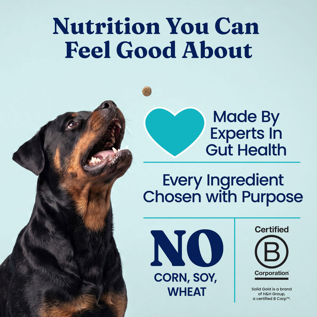 Solid Gold Chicken Dehydrated Dog Food C457818