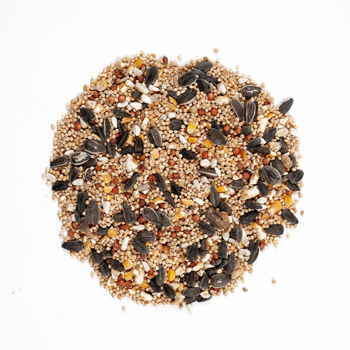 Green Squirrel-Proof Bird Feeder and 20-Pound Bag Wild Bird Food O1189