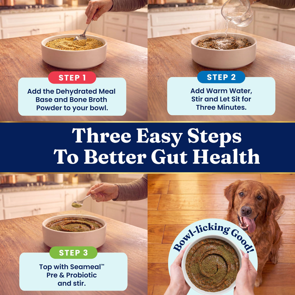 Solid Gold Chicken Dehydrated Dog Food C457818